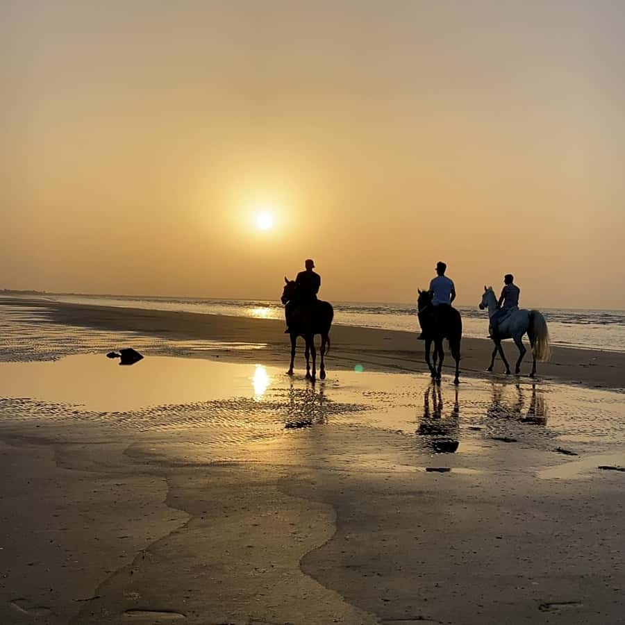 Horse riding in muscat beach - Why sunset timing may be worth choosing