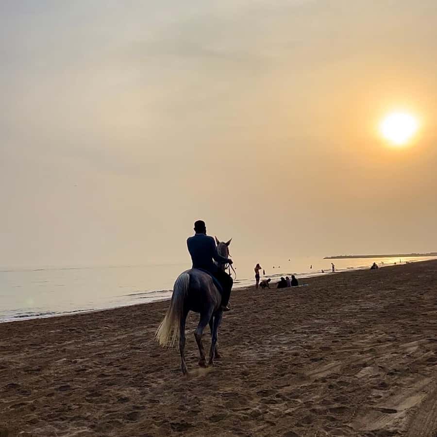 Horse riding in muscat beach - The horses and the setting