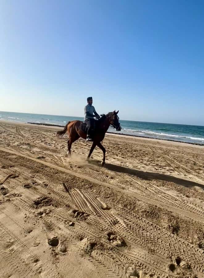 Horse riding in muscat beach - Who will enjoy this beach ride most?