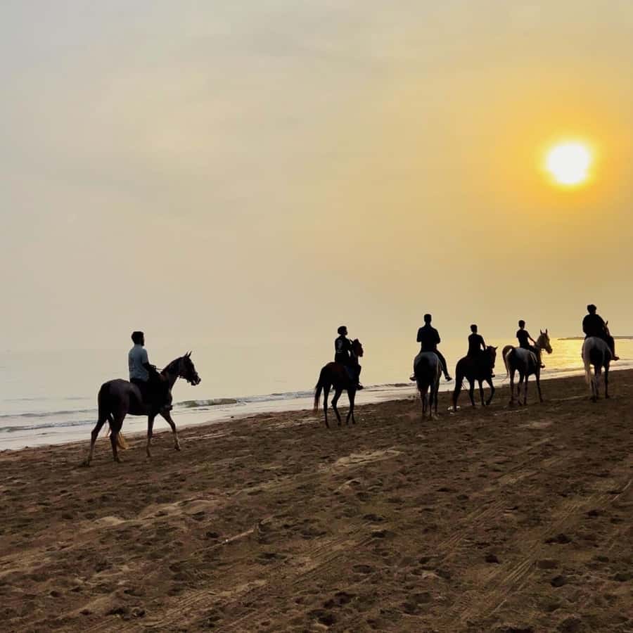 Horse riding in muscat beach - A one-hour beach outing, from arrival to return