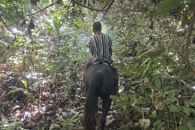 Horse Riding in Port Vila with Yumi Tours - The Bareback Ride Into the Bay