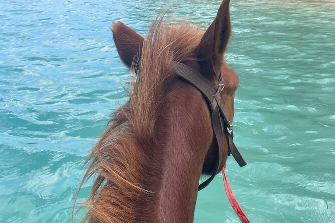 Horse Riding in Port Vila with Yumi Tours - What the Guides Add to the Experience