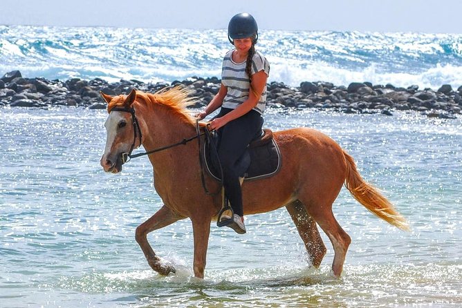 Horse Riding in Sal Island - Cabo Verde - Key points before you book