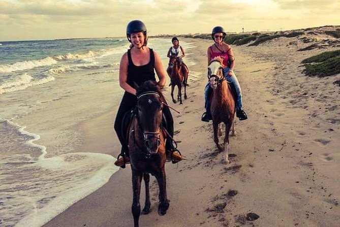 Horse Riding in Sal Island - Cabo Verde - From Santa Maria to the salt flats on horseback