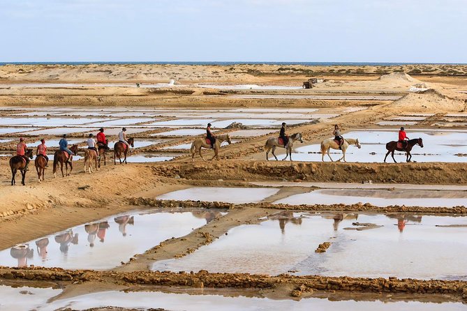 Horse Riding in Sal Island - Cabo Verde - Why the horses and guides matter