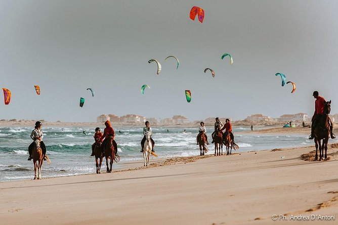 Horse Riding in Sal Island - Cabo Verde - Group size, comfort, and what to wear