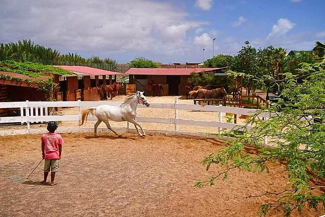 Horse Riding in Sal Island - Cabo Verde - Is $60.25 a fair price?