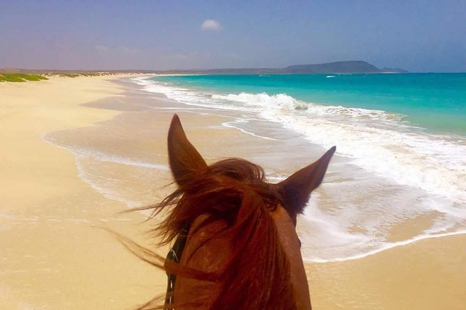 Horse Riding in Sal Island - Cabo Verde - Who will enjoy this ride most?