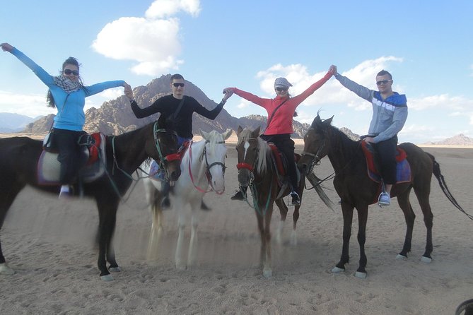 Horse riding in Sharm el sheikh desert - Why this ride is worth considering beyond the beach