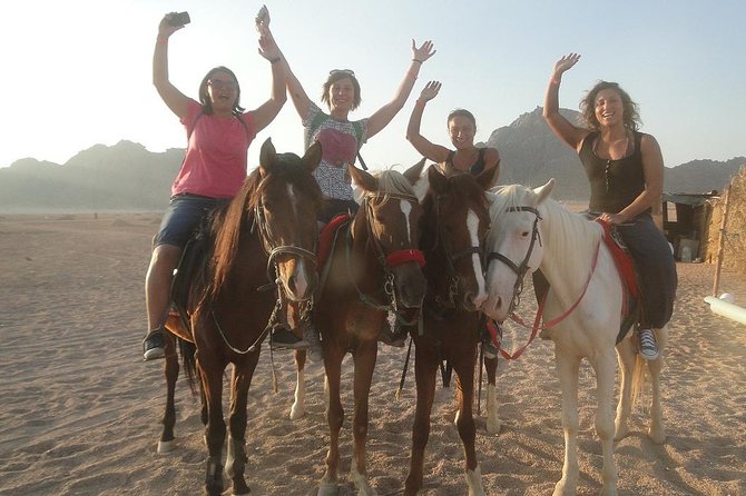 Horse riding in Sharm el sheikh desert - Getting matched with the right horse