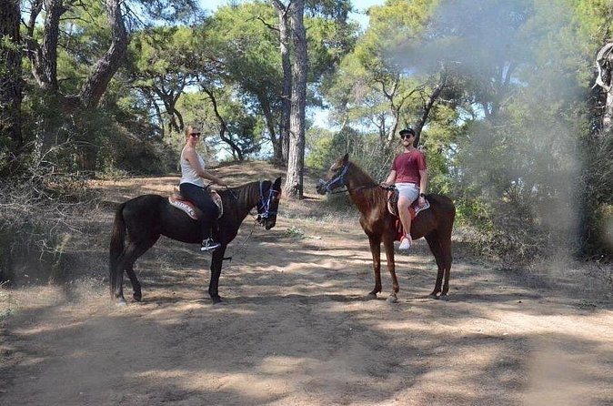 Horse Riding in Side - Horse Tour in Manavgat Forest and Beach - Is $60.49 good value?
