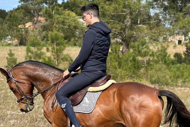 Horse Riding in the Countryside - A Gentle Six-Kilometer Ride Near Aveiro