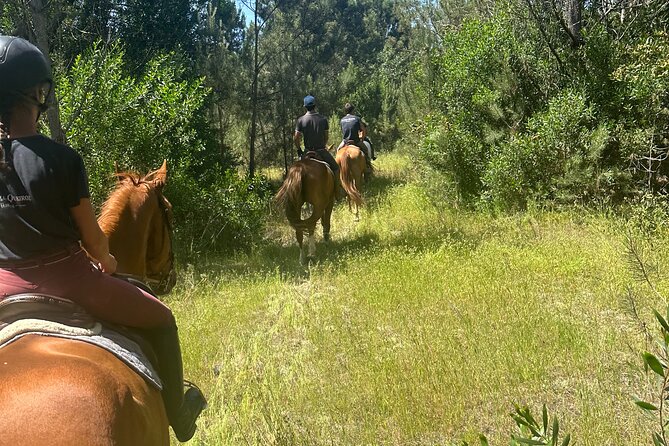 Horse Riding in the Countryside - Meeting the Horses and Getting Comfortable