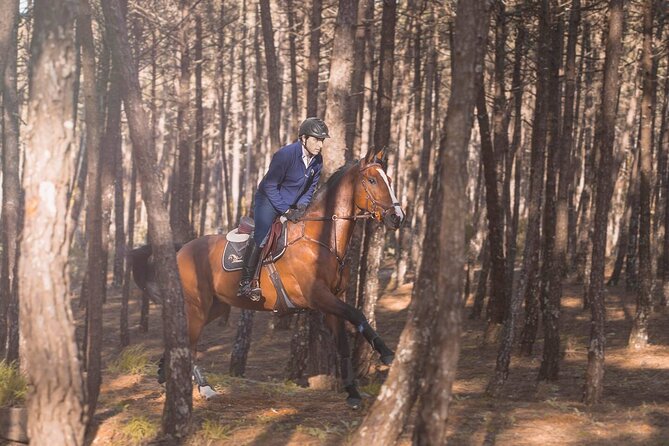 Horse Riding in the Countryside - Why the Small Group Size Matters