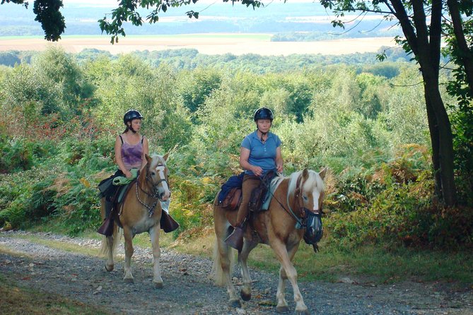 Horse riding in the French countryside between Paris and Lille - Key points before you book