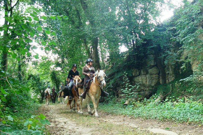 Horse riding in the French countryside between Paris and Lille - The first 45 minutes: grooming and getting comfortable
