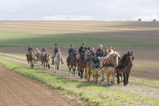 Horse riding in the French countryside between Paris and Lille - Why the small group matters