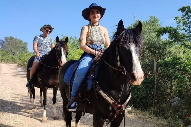 Horse riding in the Gargano National Park - Getting comfortable with your horse
