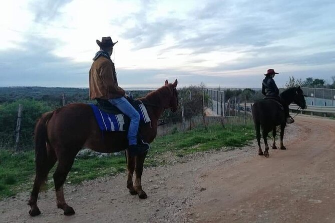 Horse riding in the Gargano National Park - Panoramic stops toward the Tremiti Islands