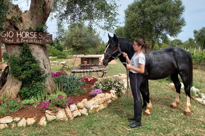 Horse riding in the Gargano National Park - Why the small group matters