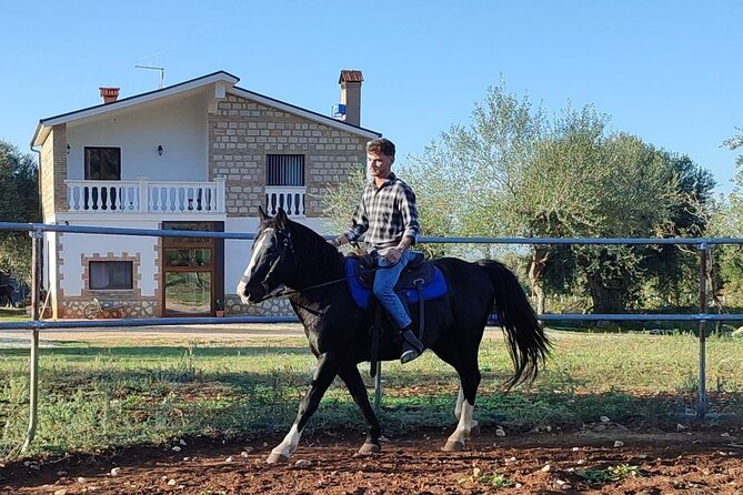 Horse riding in the Gargano National Park - Is $51.59 a fair price?