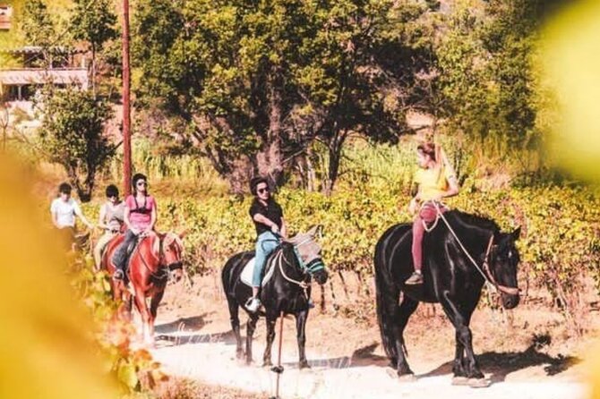 Horse riding in the vineyards of Grimaud + wine tasting - Key points at a glance