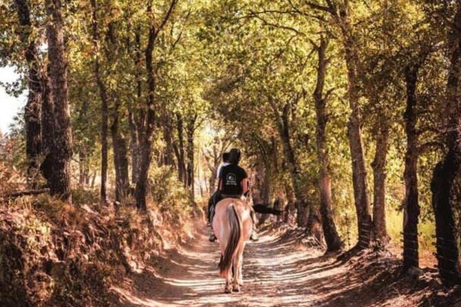 Horse riding in the vineyards of Grimaud + wine tasting - Why this Grimaud ride feels different from St-Tropez