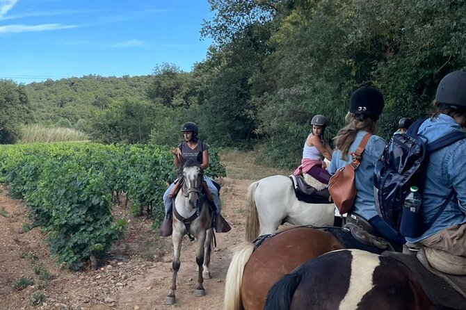 Horse riding in the vineyards of Grimaud + wine tasting - Planning the afternoon in Grimaud