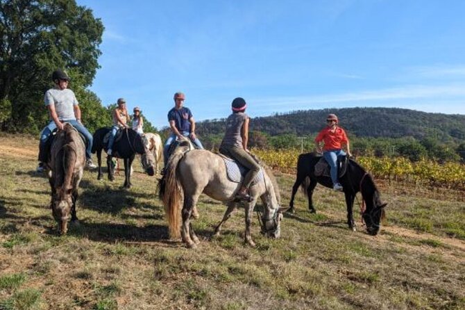 Horse riding in the vineyards of Grimaud + wine tasting - What the guide adds along the way