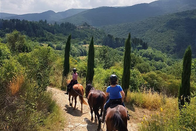 Horse Riding in Tuscany for Experienced Riders: Full-day Trail Ride - Key points to know before booking
