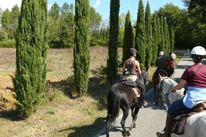 Horse Riding in Tuscany for Experienced Riders: Full-day Trail Ride - A demanding day in the saddle near Montieri