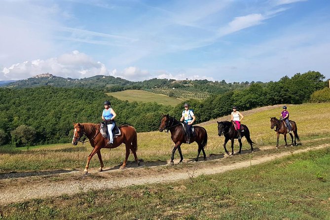 Horse Riding in Tuscany for Experienced Riders: Full-day Trail Ride - Picnic lunch, and why the long stop divides opinion