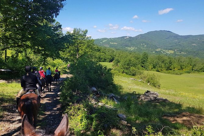 Horse Riding in Tuscany for Experienced Riders: Full-day Trail Ride - What the $252.86 price really covers