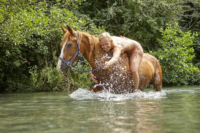 Horse Riding in Tuscany for Experienced Riders: Full-day Trail Ride - Who should book this Tuscan trail ride
