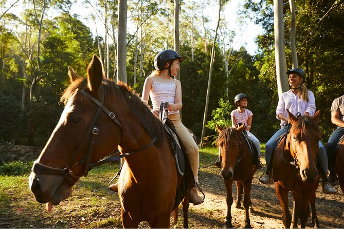Horse Riding, Koalas & Kangaroos - Wild Australia: Private Tour - Two hours at Glenworth Valley