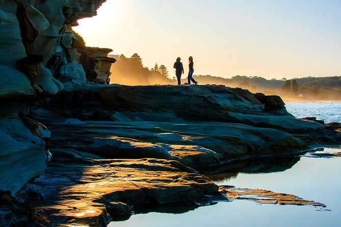 Horse Riding, Koalas & Kangaroos - Wild Australia: Private Tour - Beaches along the Central Coast
