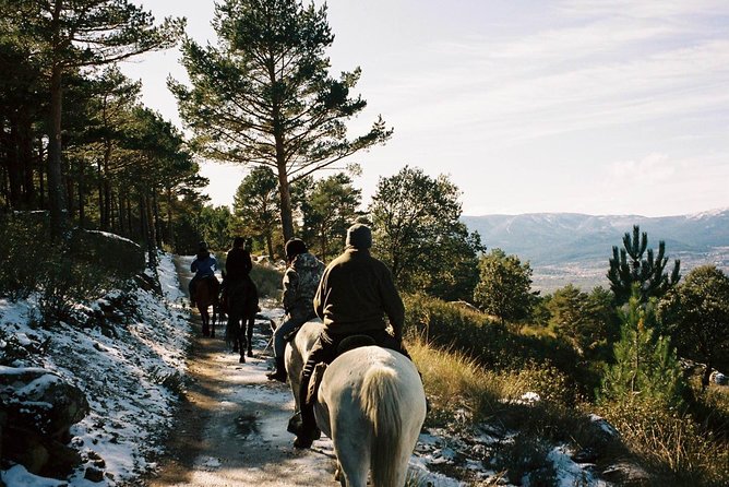 Horse Riding Madrid Natural Park - Key points to know before booking