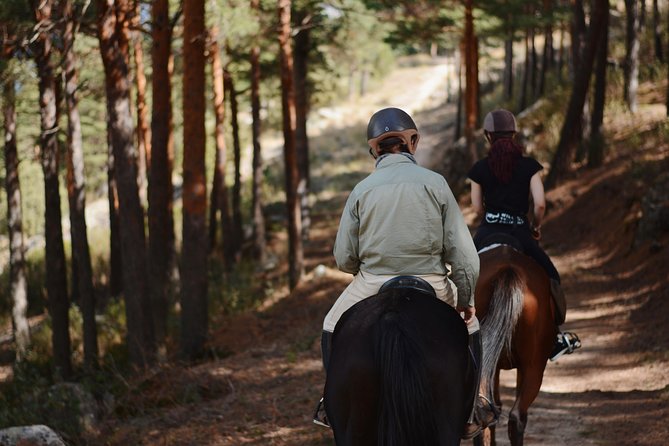 Horse Riding Madrid Natural Park - From Madrid streets to Sierra mountain trails