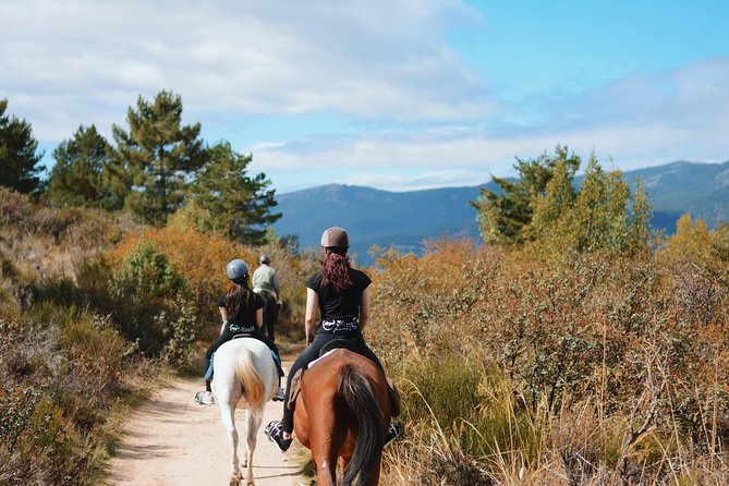Horse Riding Madrid Natural Park - Getting to Collado Mediano from Madrid