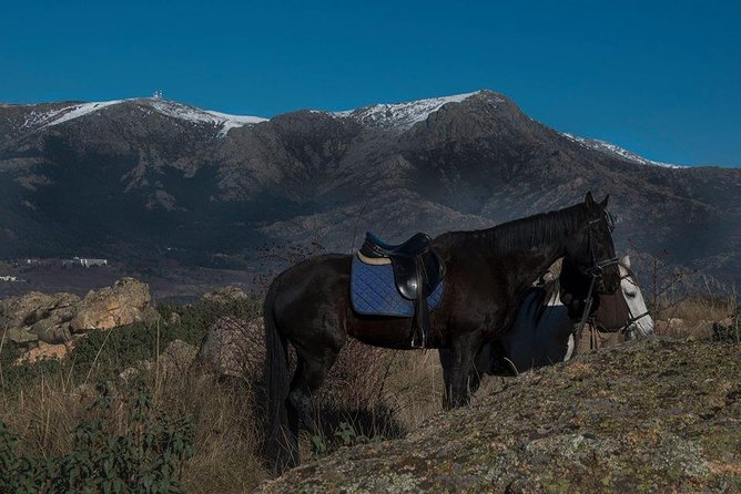 Horse Riding Madrid Natural Park - Who will enjoy this ride most