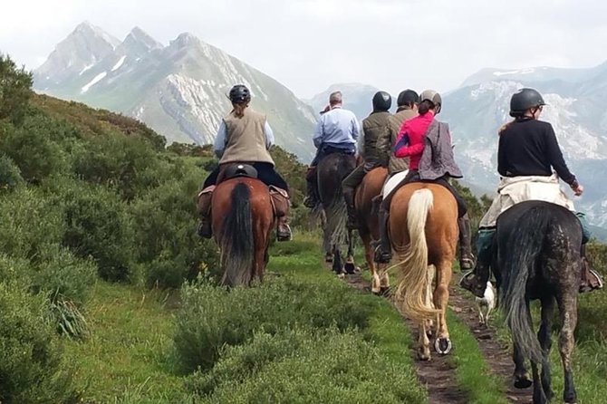 Horse Riding Madrid Natural Park (long Trip) - Key things to know before you book