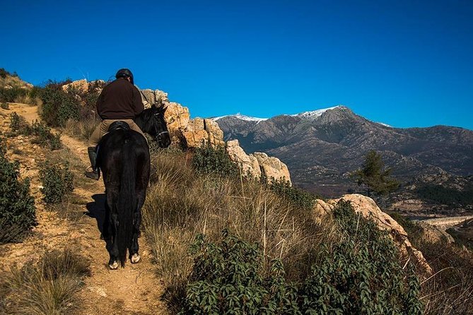 Horse Riding Madrid Natural Park - What the Sierra de Guadarrama ride is really like