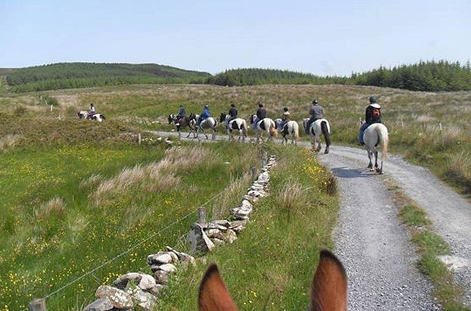 Horse riding - Mountain Trail. Lisdoonvarna, Co Clare. Guided. 2 hours. - Price, Timing, and Practical Value