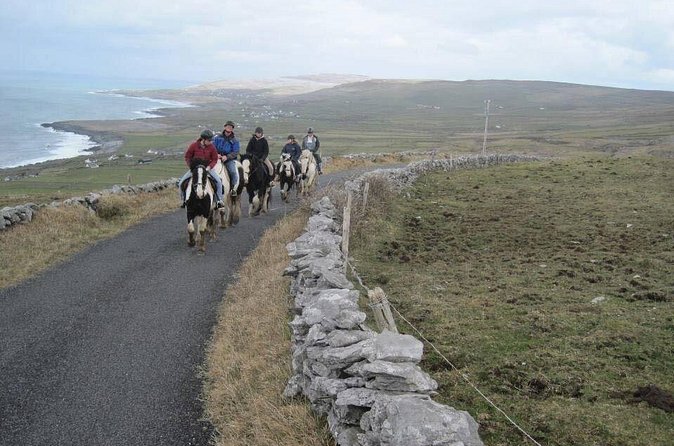 Horse riding - Mountain Trail. Lisdoonvarna, Co Clare. Guided. 2 hours. - Who Should Book This Horse Ride