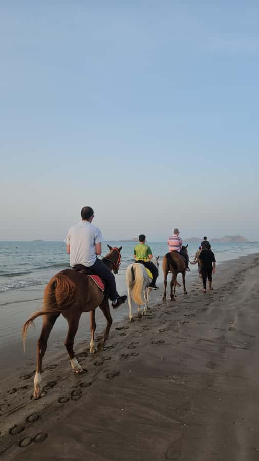 Horse Riding Muscat | Beach Horse Riding - Riding at Al Sawadi Beach, not on an indoor track