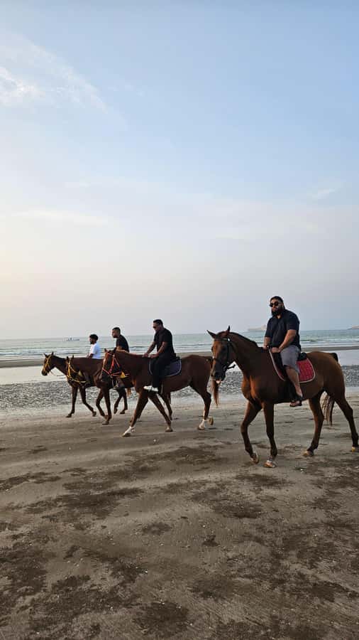 Horse Riding Muscat | Beach Horse Riding - Is one hour enough?