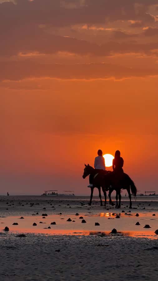 Horse Riding Muscat | Beach Horse Riding - A one-hour ride with personal help