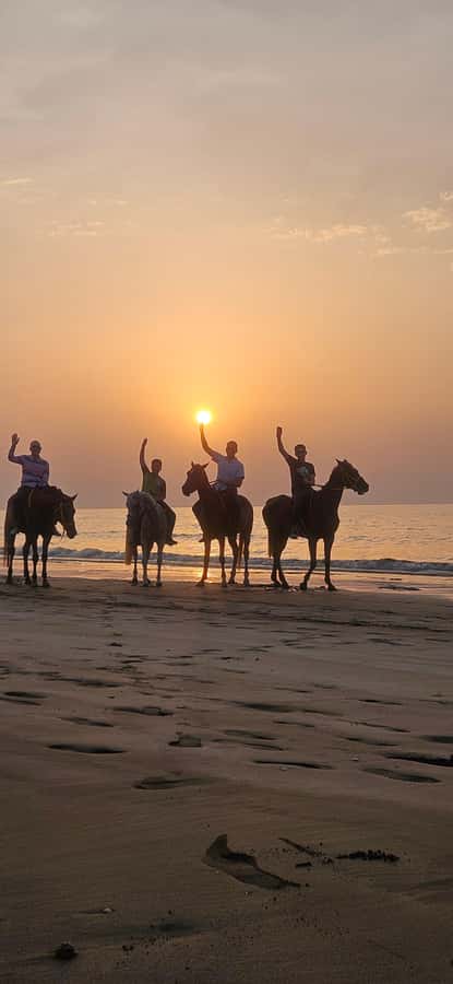 Horse Riding Muscat | Beach Horse Riding - Sunset is the strongest time to book