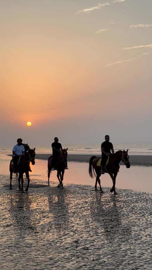 Horse Riding Muscat | Beach Horse Riding - Photos are part of the appeal
