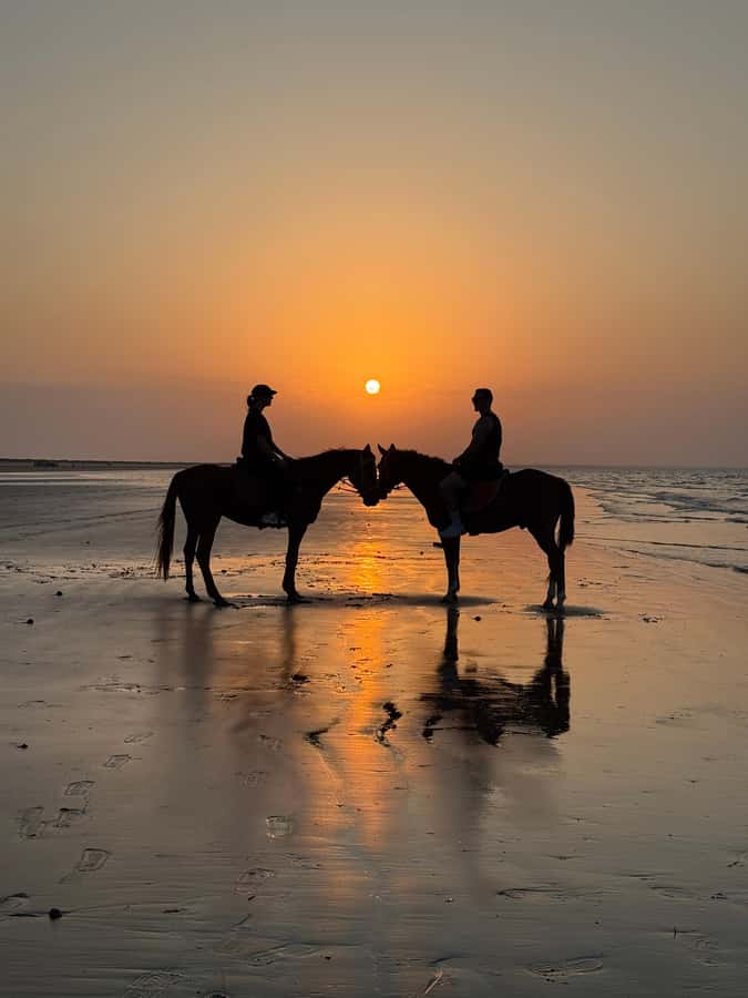Horse Riding Muscat | Beach Horse Riding - What the $58 price delivers